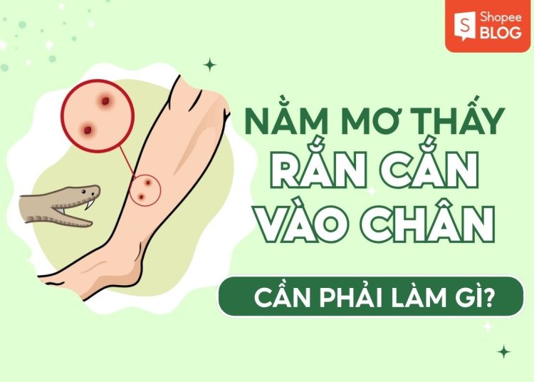 nằm mơ thấy rắn cắn vào chân