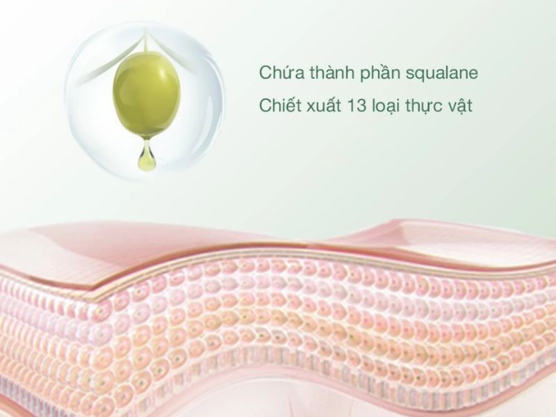 phấn phủ cho da dầu mụn Perfect Diary