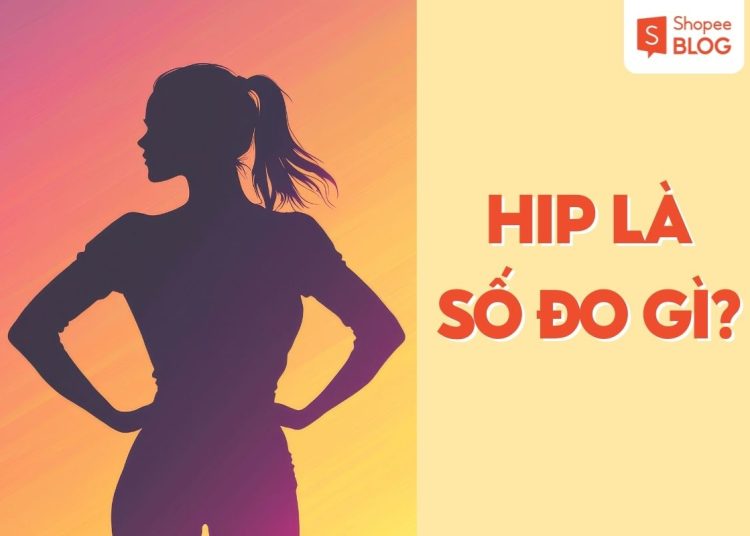 hip là số đo gì