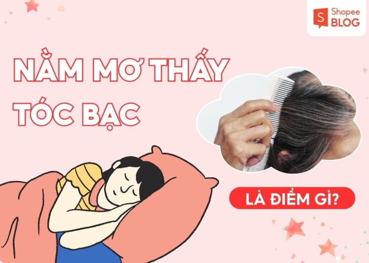 nam mo thay toc bac