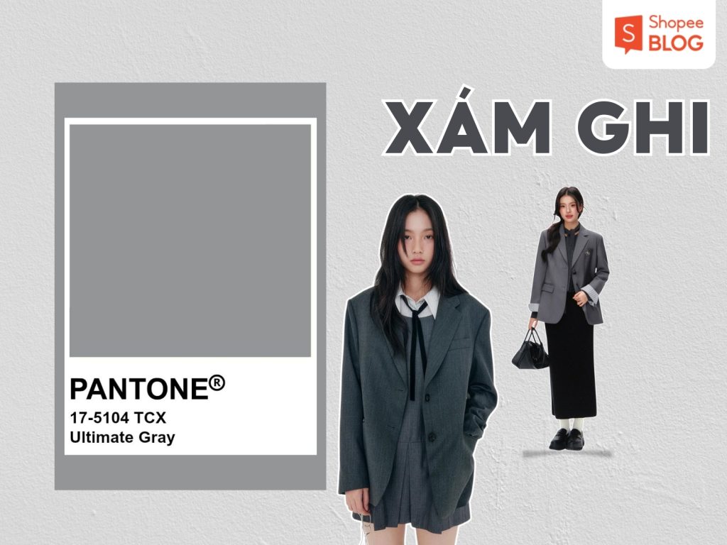 Màu ghi phối màu gì