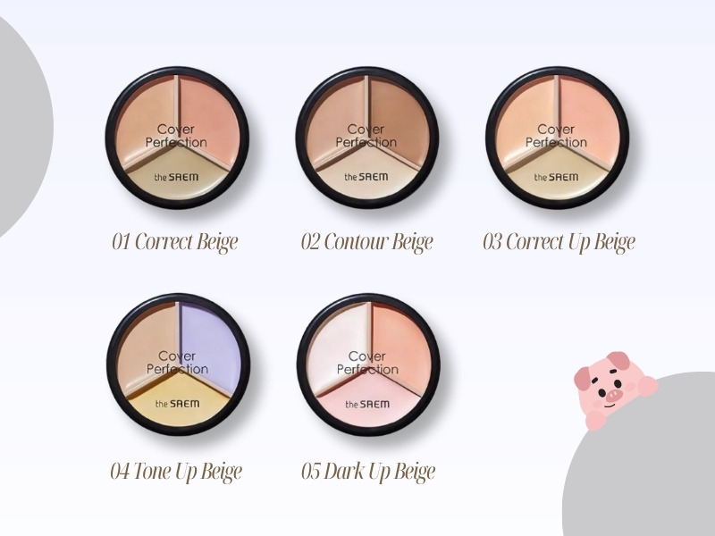 Bảng màu kem che khuyết điểm the SAEM