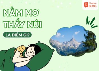 mo thay nui