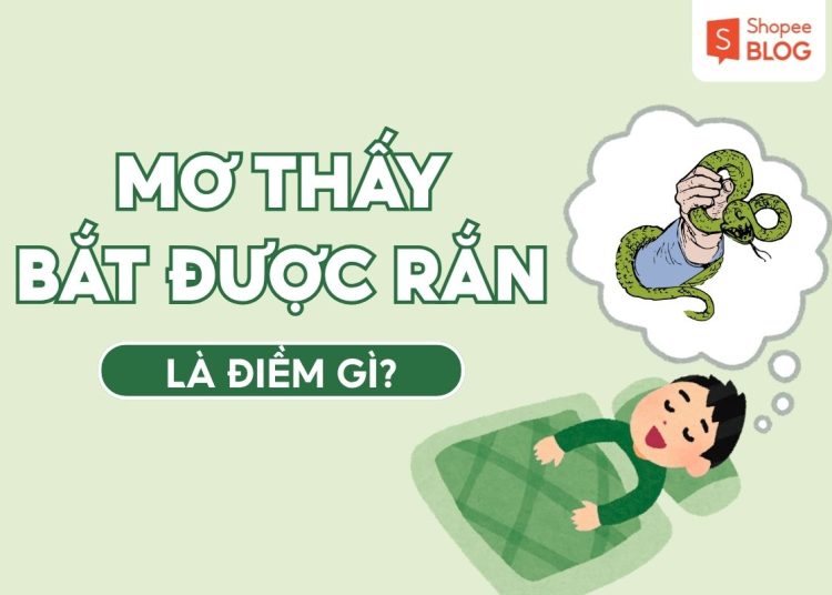 MƠ THẤY BẮT ĐƯỢC RẮN
