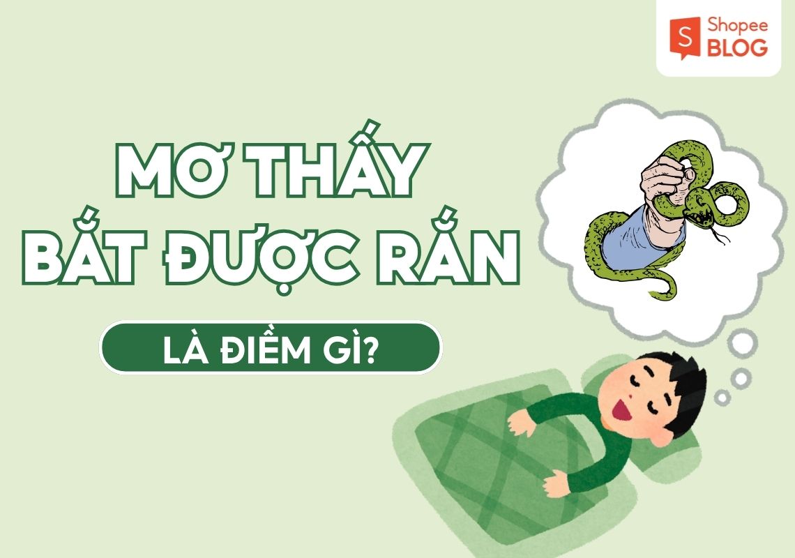 MƠ THẤY BẮT ĐƯỢC RẮN