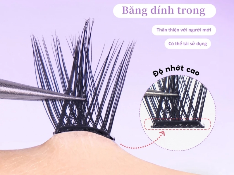 Đường keo dán chặt chân mi 