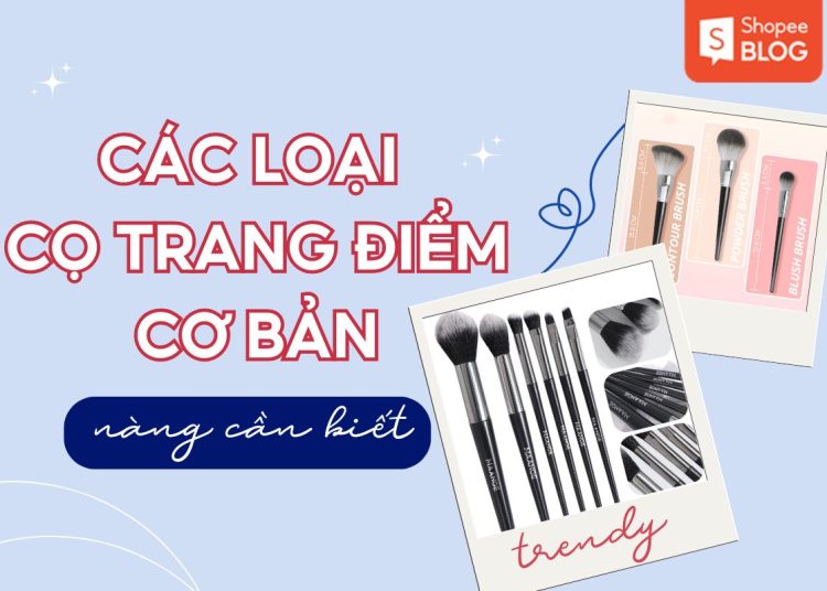 các loại cọ trang điểm