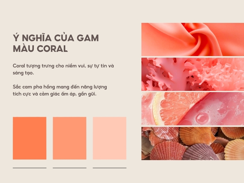 Ý nghĩa của gam màu Coral