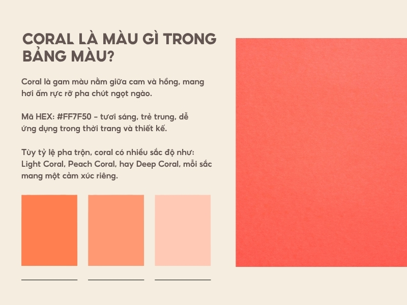 Coral là màu gì trong bảng màu? 