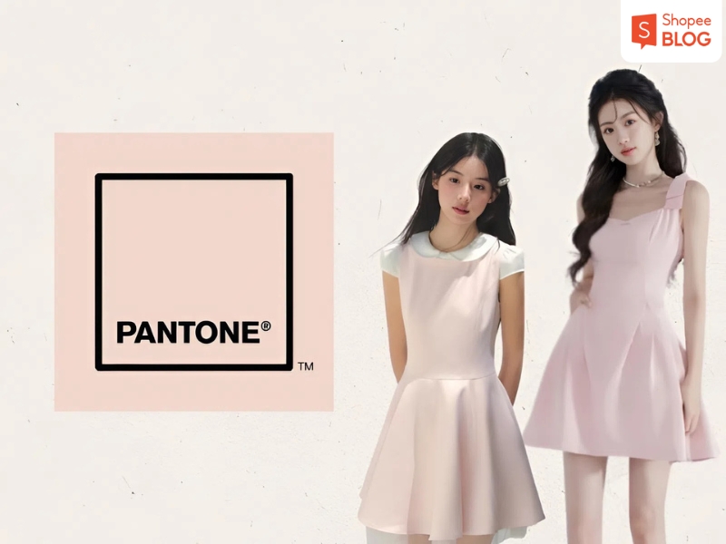 Nguồn gốc màu hồng pastel 