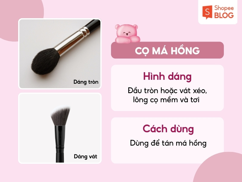 cọ tán má hồng