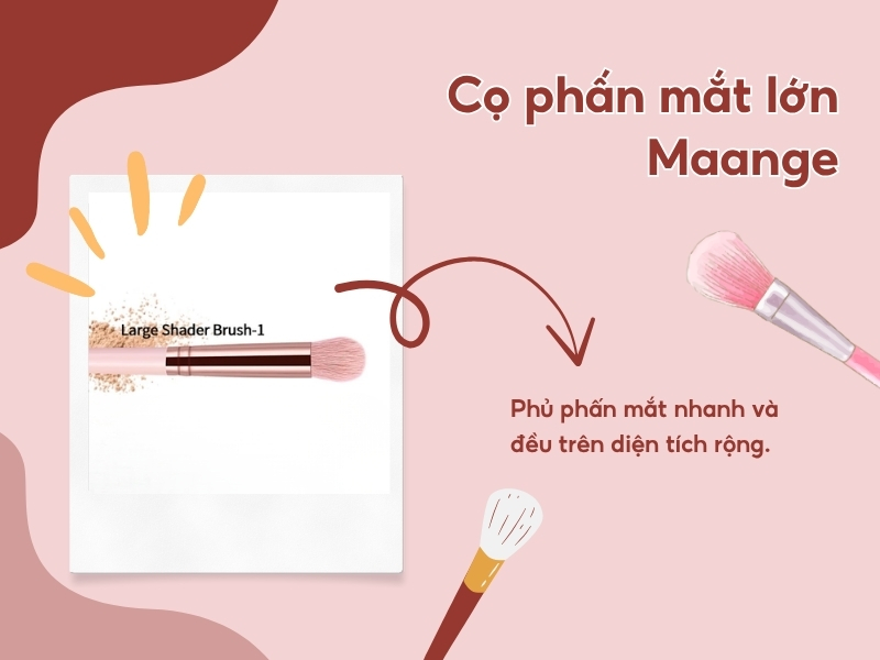 Cọ phấn mắt lớn Maange