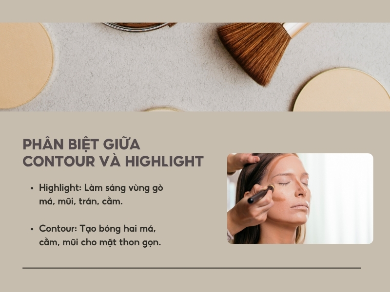 Phân biệt highlight và contour trong tạo khối