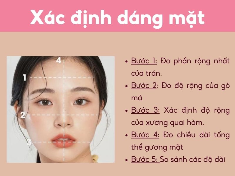 Cách xác định các dáng mặt cơ bản