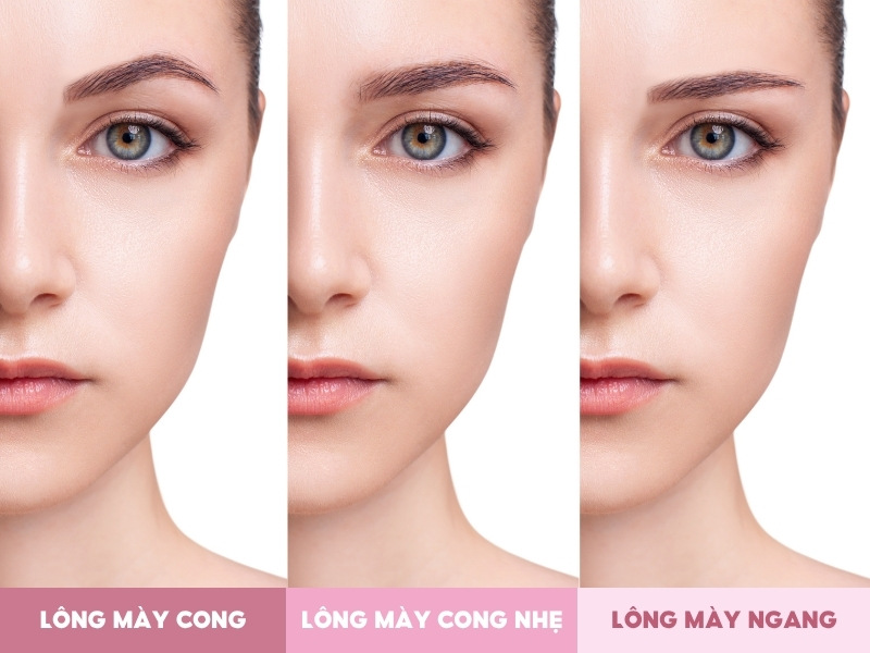 Các dáng lông mày phổ biến