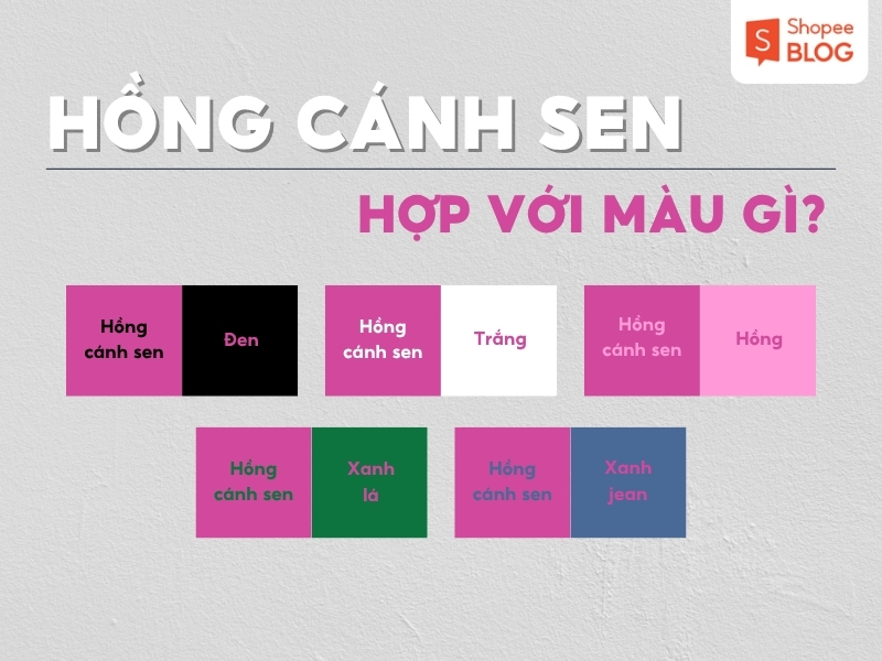 màu hồng cánh sen đậm phối với màu gì đẹp