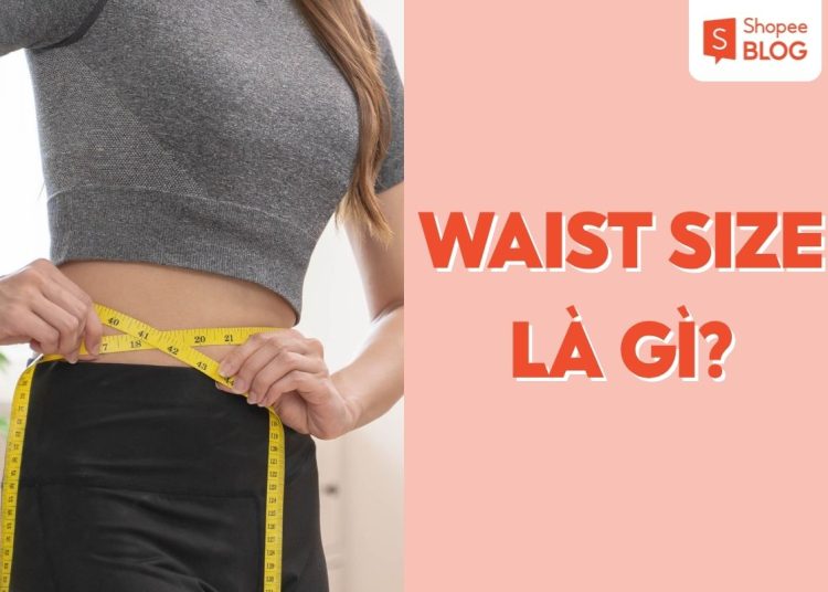 waist size là gì