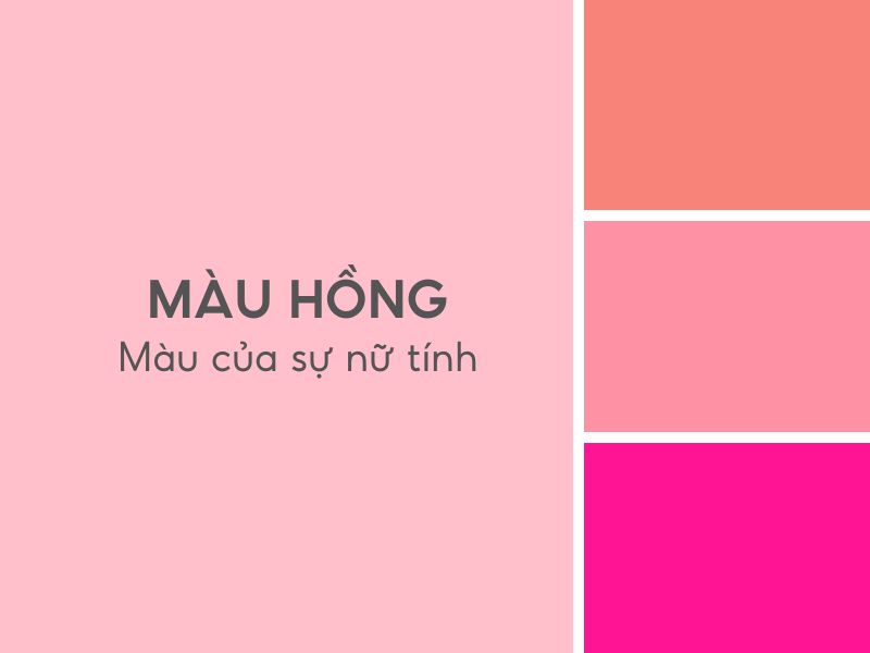 Tổng quan về màu hồng 