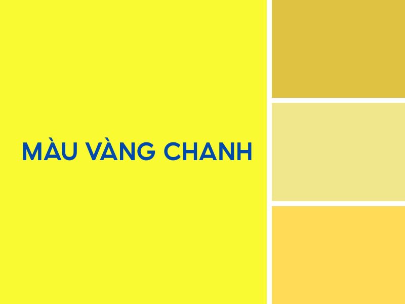 Giới thiệu màu vàng chanh 