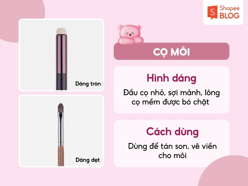 Cách dùng cọ môi