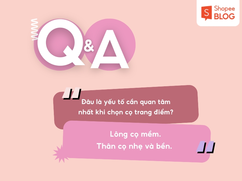 Yếu tố cần quan tâm khi mua cọ