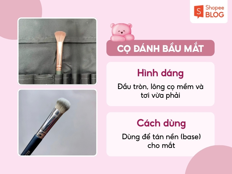 Cách dùng cọ đánh bầu mắt