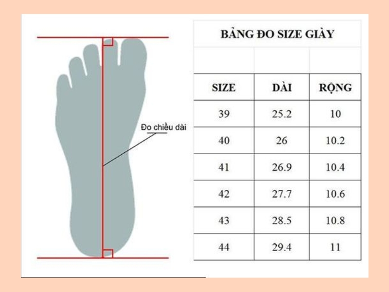 cách đo và chọn size giày chuẩn