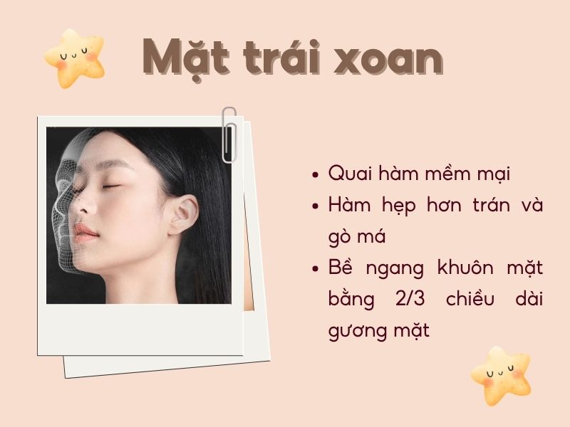 Mặt trái xoan 