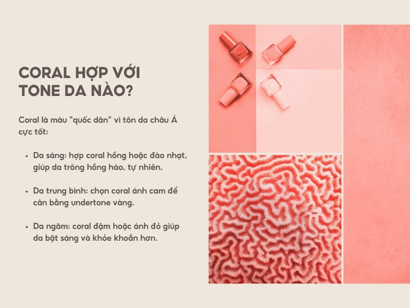 Coral hợp với tone da nào? 