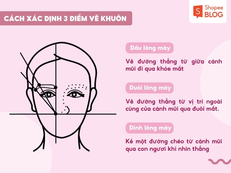 Cách xác định đầu, đuôi và đỉnh của lông mày
