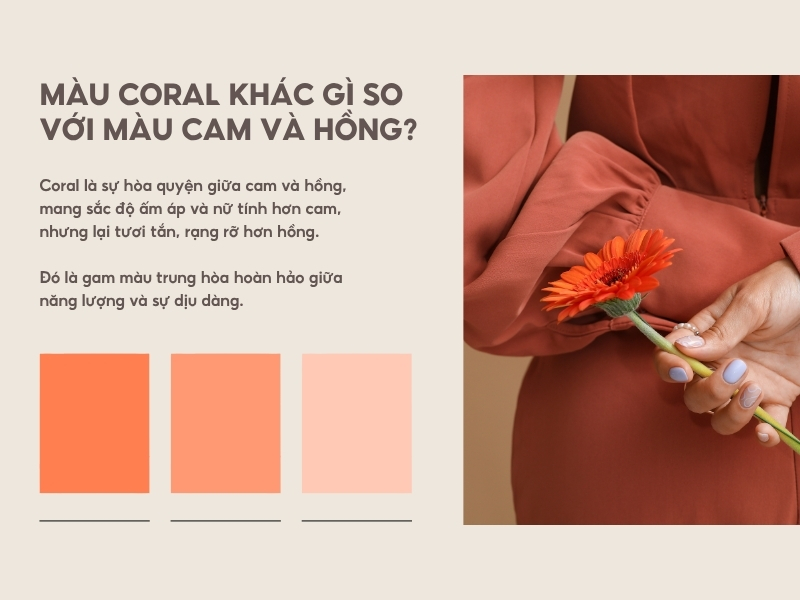 Màu coral khác gì so với màu cam và hồng? 