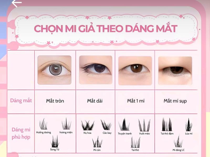 chọn mi giả theo dáng mắt