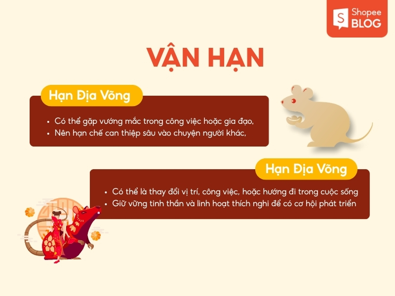 Vận hạn tuổi Giáp Tý 1984 năm 2026