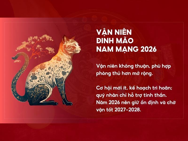 Vận niên nam Đinh Mão 2026 nam mạng