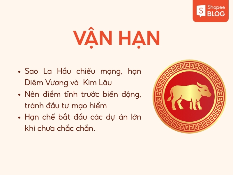 vận hạn nữ Ất Sửu năm 2026