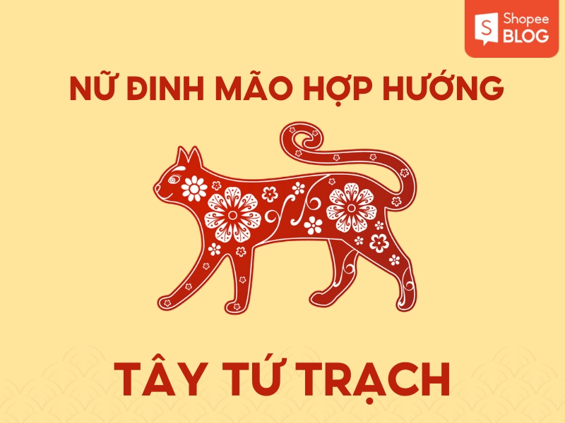 Hướng hợp với nữ 1987