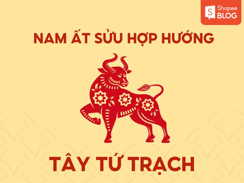 Hướng hợp với nam 1985 