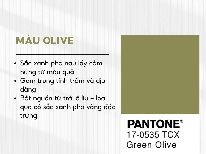 Màu olive là màu gì 