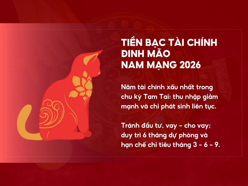 Tài chính tuổi Đinh Mão năm 2026 nam mạng 1987