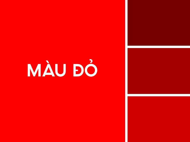 Màu đỏ trong thời trang