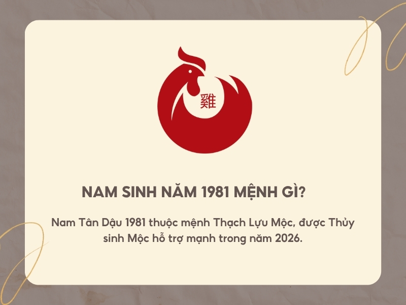 Nam sinh năm 1981 mệnh gì? 