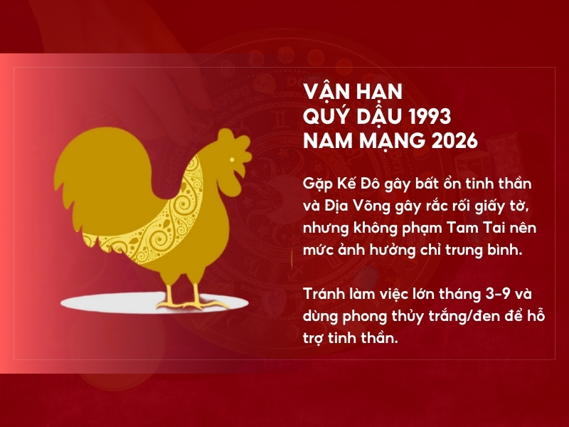 Vận hạn tuổi Quý Dậu năm 2026 nam mạng