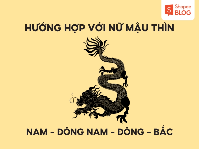 Hướng hợp với nữ 1988 