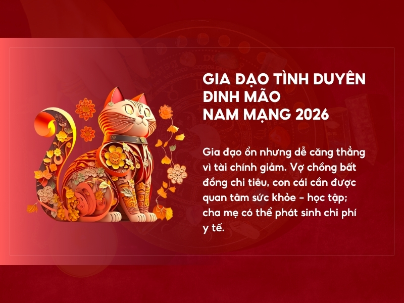 Gia đạo nam Đinh Mão 2026 nam mạng