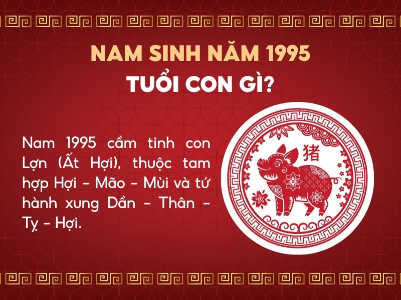 Nam sinh năm 1995 tuổi con heo