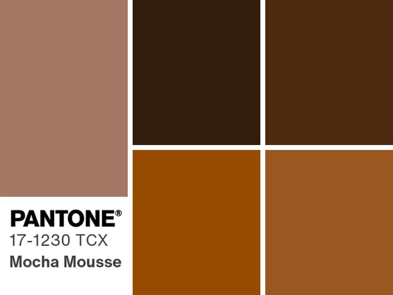 Giới thiệu về màu nâu