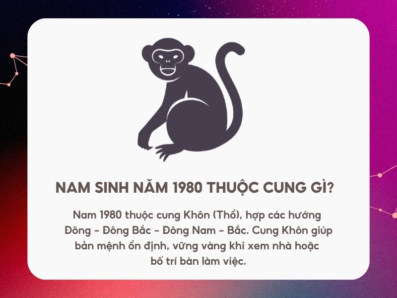 Nam sinh năm 1980 thuộc cung gì