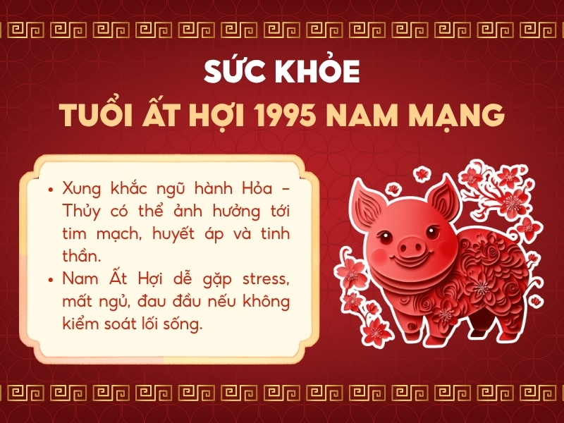Sức khỏe tuổi Ất Hợi 1995 nam mạng 2026