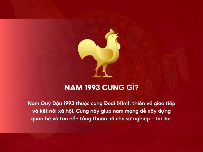 Nam 1993 cung gì? 