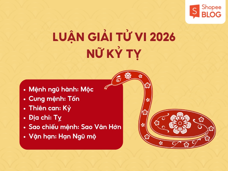 Luận giải tử vi nữ sinh năm 1989